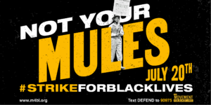 image of Not your mules: July 20th