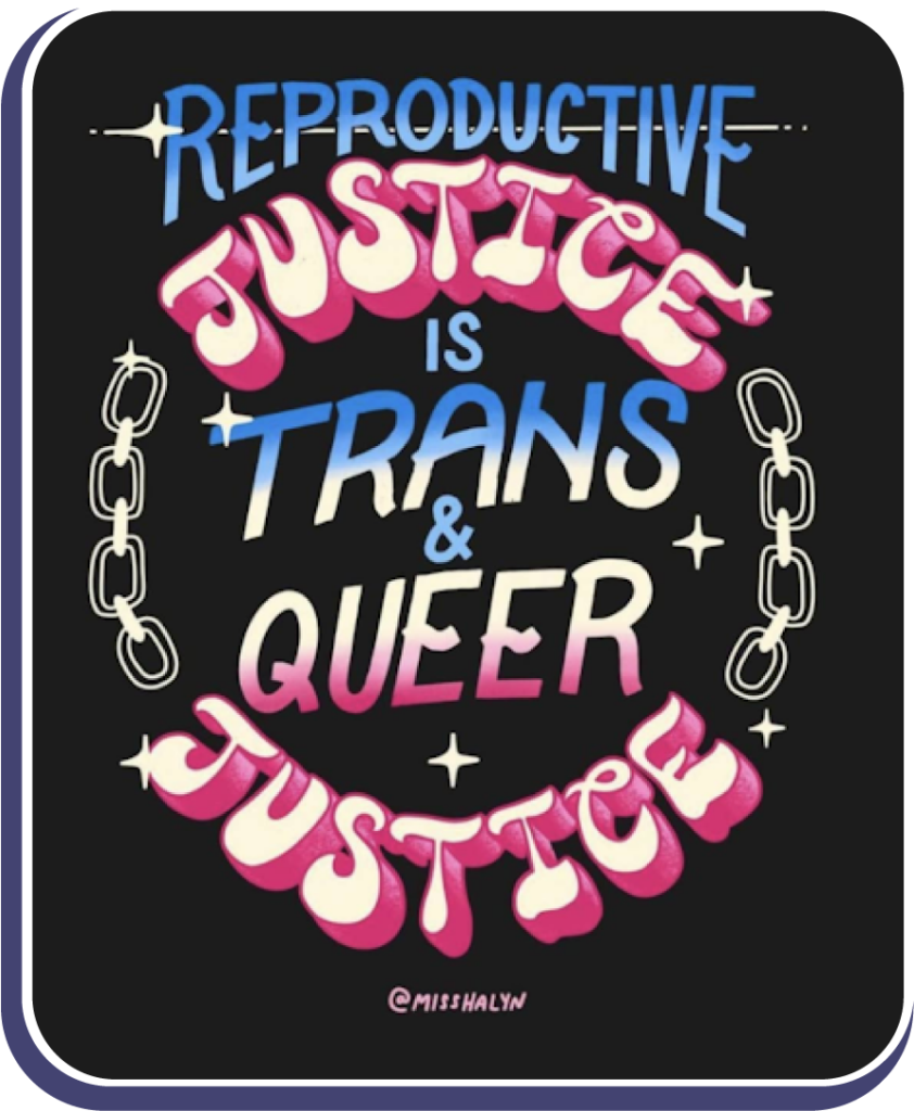 Reproductive justice is trans & queer justice